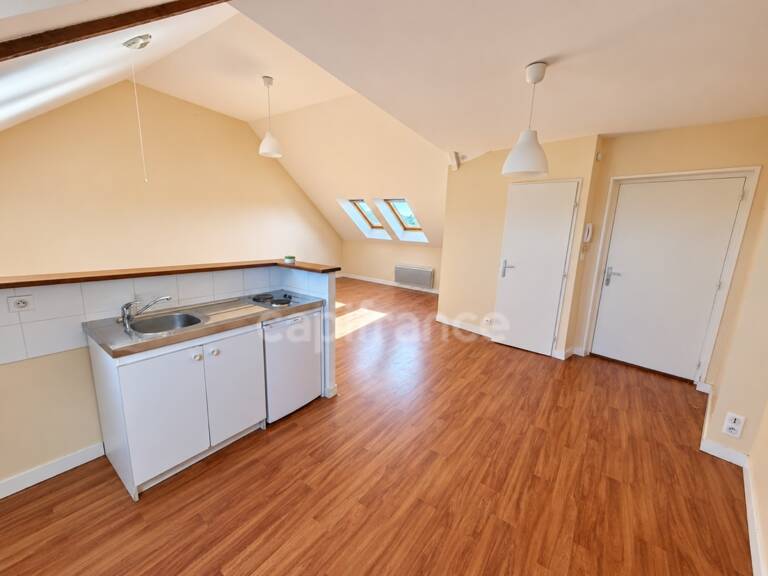 EXCLUSIVITÉ - Appartement à vendre 1 pièce CHATEAUNEUF DU FAOU (29) — photo 1