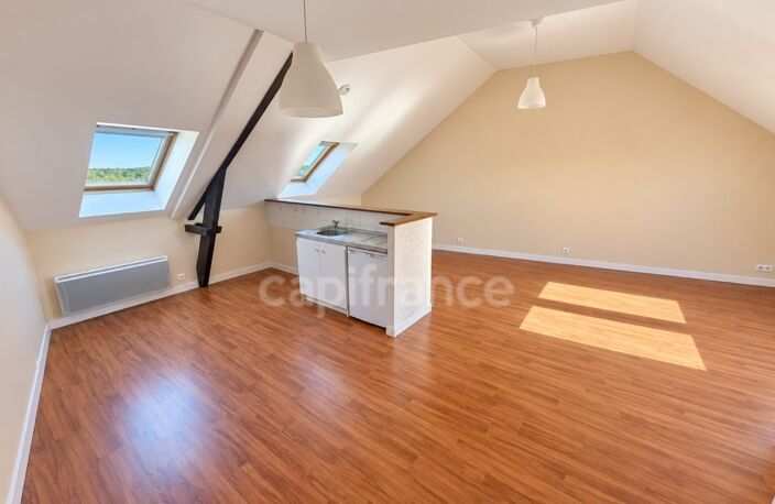 EXCLUSIVITÉ - Appartement à vendre 1 pièce CHATEAUNEUF DU FAOU (29) — photo 3