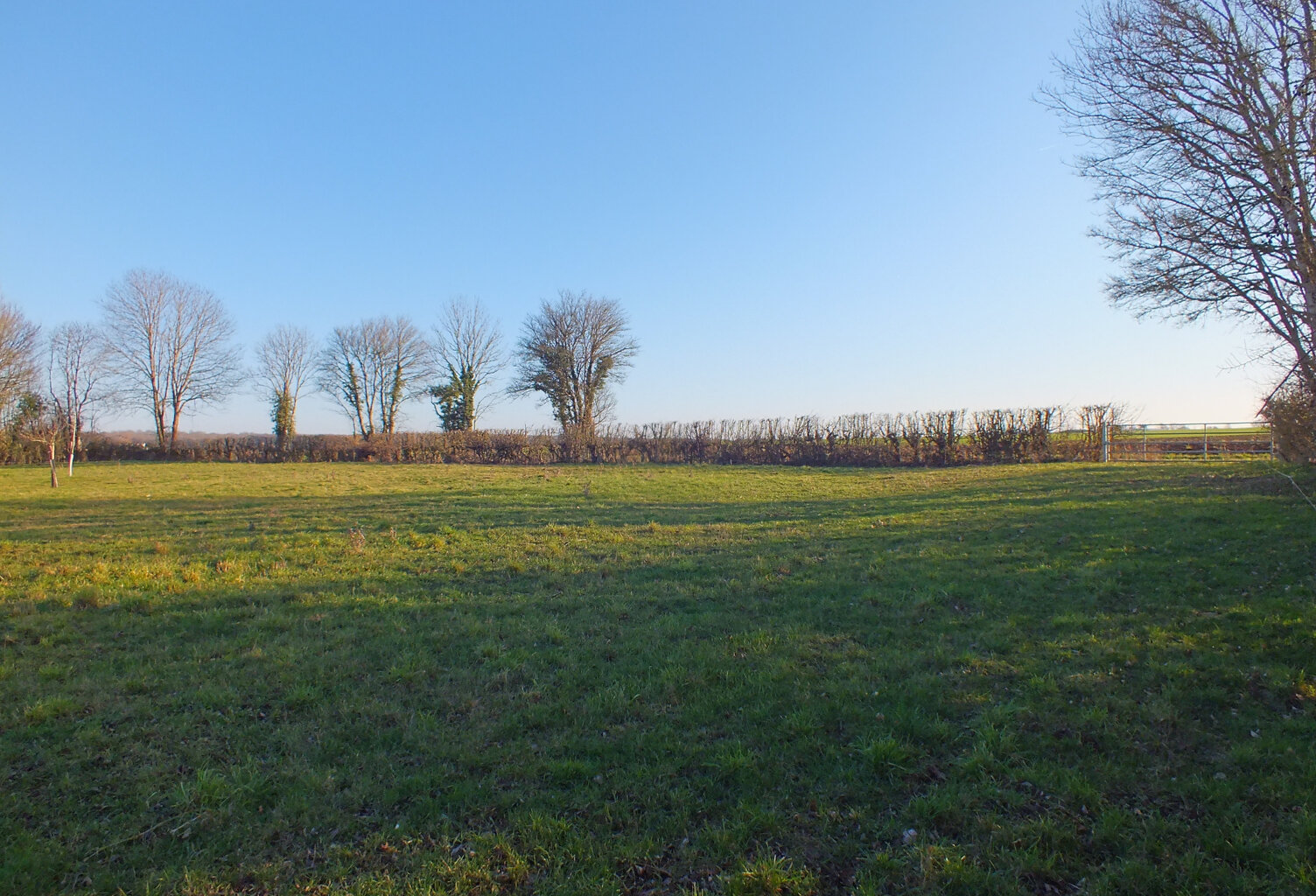 Dpt Côte d'Or (21), à vendre MUSIGNY terrain - Terrain de 5 990,00 m² — photo 1