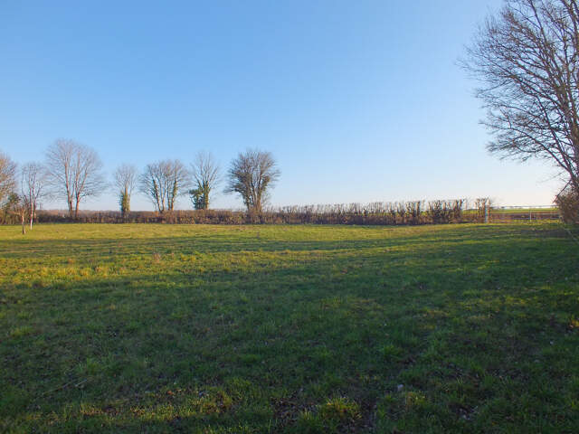 Dpt Côte d'Or (21), à vendre MUSIGNY terrain - Terrain de 5 990,00 m² — photo du bien