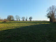 Dpt Côte d'Or (21), à vendre MUSIGNY terrain - Terrain de 5 990,00 m² — photo 2
