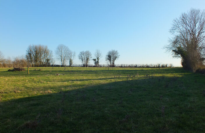 Dpt Côte d'Or (21), à vendre MUSIGNY terrain - Terrain de 5 990,00 m² — photo 2