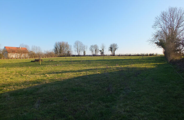 Dpt Côte d'Or (21), à vendre MUSIGNY terrain - Terrain de 5 990,00 m² — photo 3