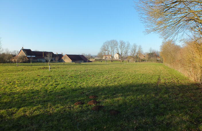Dpt Côte d'Or (21), à vendre MUSIGNY terrain - Terrain de 5 990,00 m² — photo 4