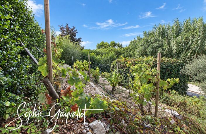 Velaux – Maison familiale dans un environnement campagne préservé — photo 3