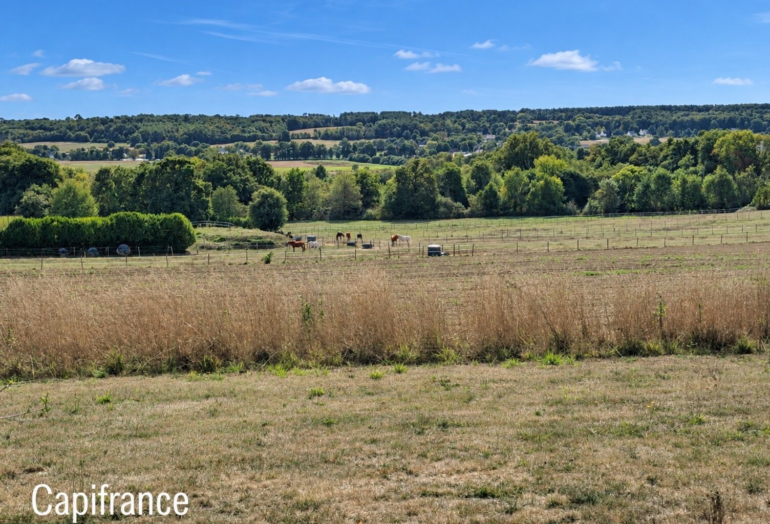 LA GACILLY – LA CHAPELLE-GACELINE – Terrain à bâtir de 1 460 m² avec vue exceptionnelle — photo 1
