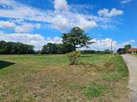 Maison au calme, en pleine campagne – 2 logements + dépendances – 5600 m² de terrain — photo 2