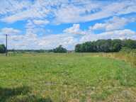 Maison au calme, en pleine campagne – 2 logements + dépendances – 5600 m² de terrain — photo 3
