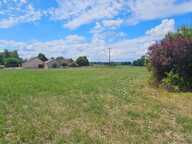 Maison au calme, en pleine campagne – 2 logements + dépendances – 5600 m² de terrain — photo 4