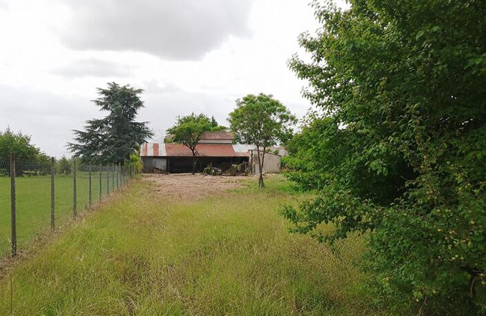 Maison Merignac (Charente) 4 pièce(s)  avec dépendances, 2500 m² de terrain — photo 2