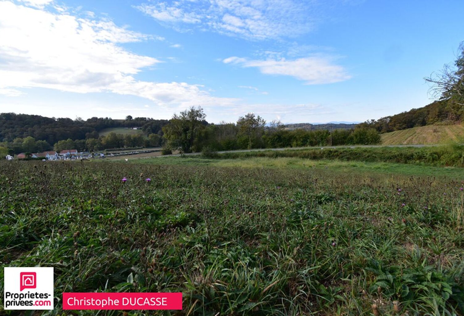 Terrain à bâtir sur le beau village de Lucq de Béarn - 2789 m2 — photo 1