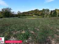 Terrain à bâtir sur le beau village de Lucq de Béarn - 2789 m2 — photo 2