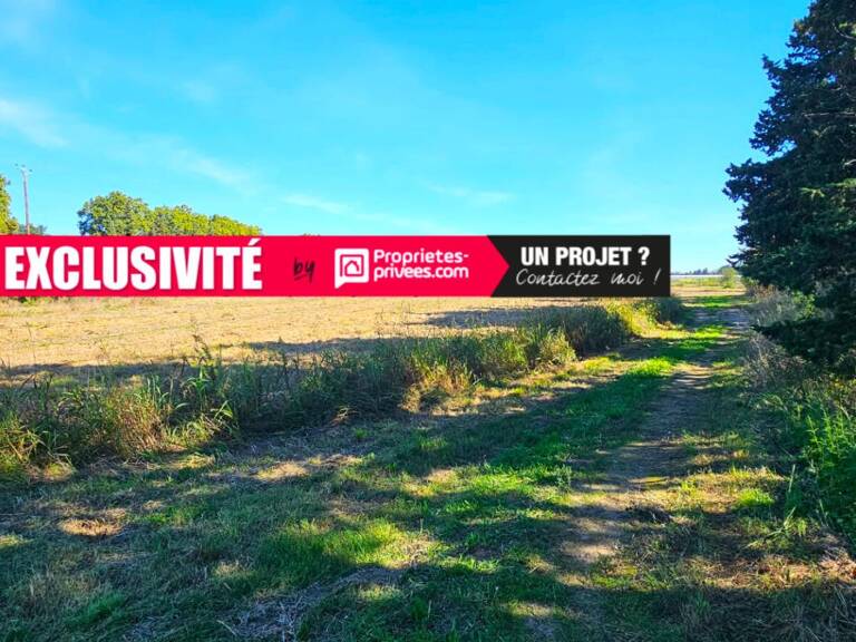 Terrains agricoles à  Elne  d'une superficie totale de 29 154 m2 — photo 1
