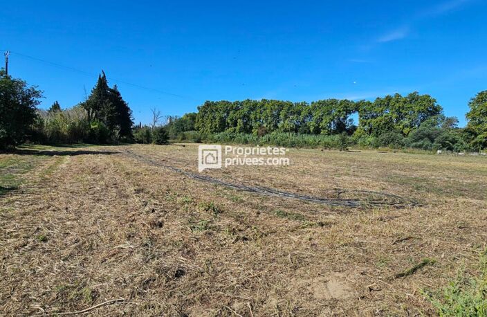 Terrains agricoles à  Elne  d'une superficie totale de 29 154 m2 — photo 3