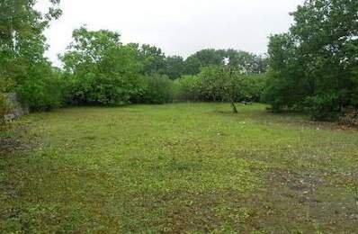 Terrain constructible  — photo du bien