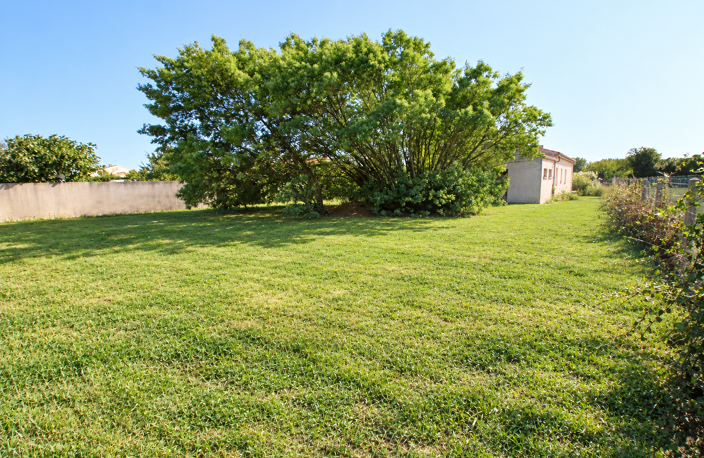 Plain pied non mitoyen sur un terrain de 1385 m² — photo 5