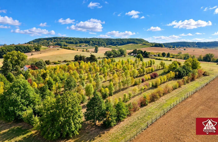 Propriété agricole d'exception — photo 3
