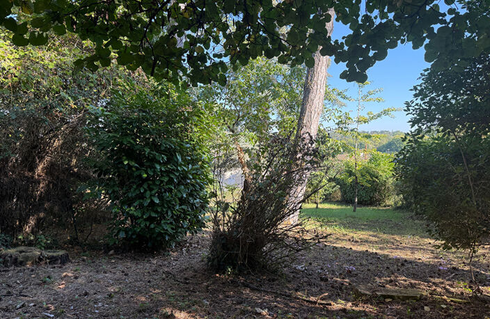 L'ECRIN DES PINS - LIGUGE — photo 3