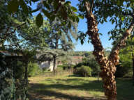 L'ECRIN DES PINS - LIGUGE — photo 4