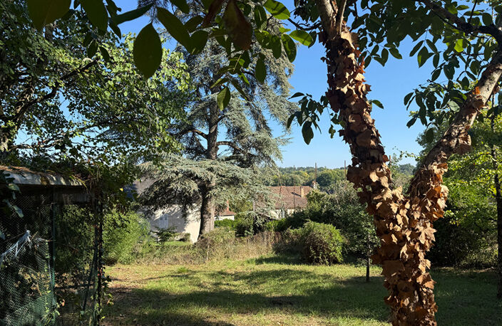 L'ECRIN DES PINS - LIGUGE — photo 4