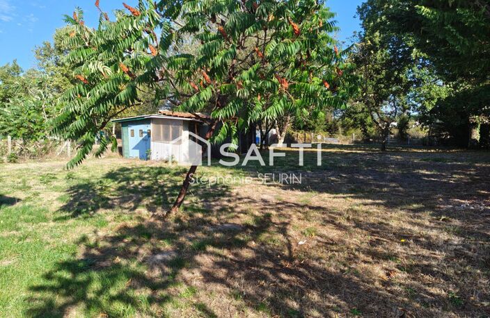 maison avec jardin — photo 2