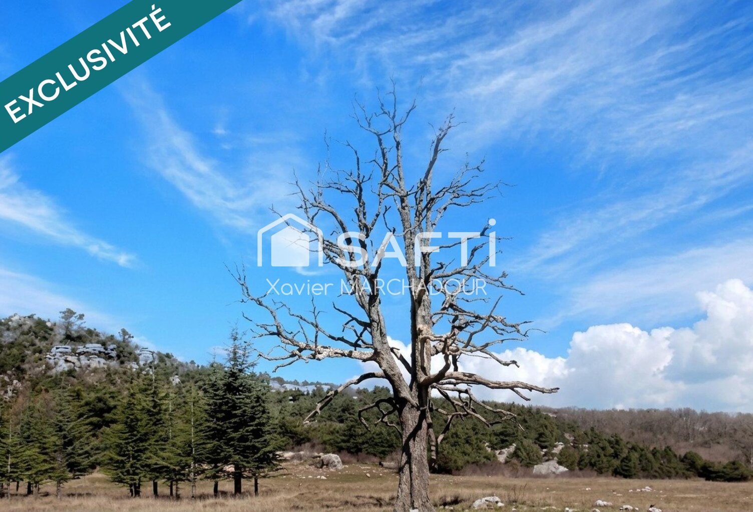 Deux parcelles agricoles au cœur de Mazaugues — photo 1
