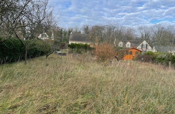 Terrain 610 m2 constructible en lot arrière sans vis à vis dont 100 m2 d'allée - indépendant — photo 2
