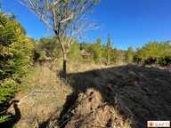 Terrain 610 m2 constructible en lot arrière sans vis à vis dont 100 m2 d'allée - indépendant — photo 3