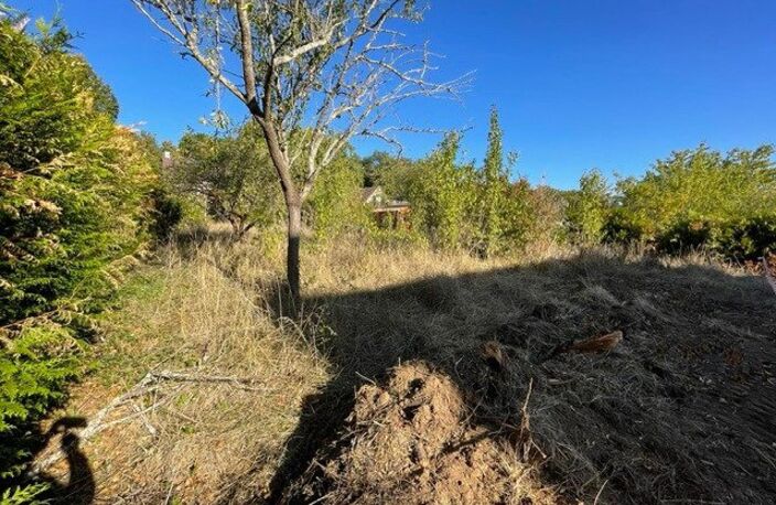 Terrain 610 m2 constructible en lot arrière sans vis à vis dont 100 m2 d'allée - indépendant — photo 3