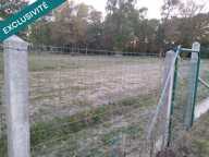 Terrain constructible viabilisé en Brenne. — photo 4