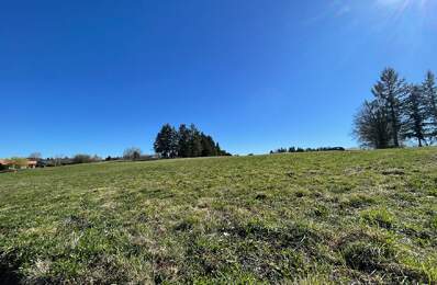 Terrain — photo du bien