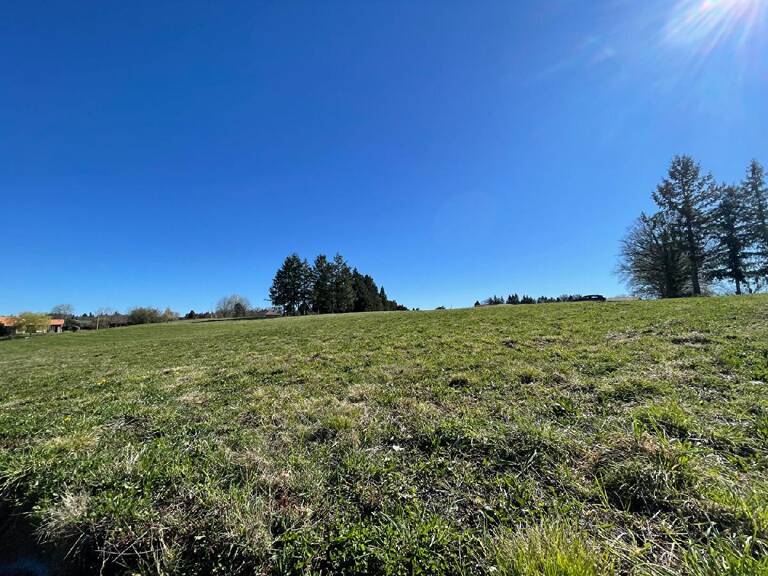Terrain — photo 1