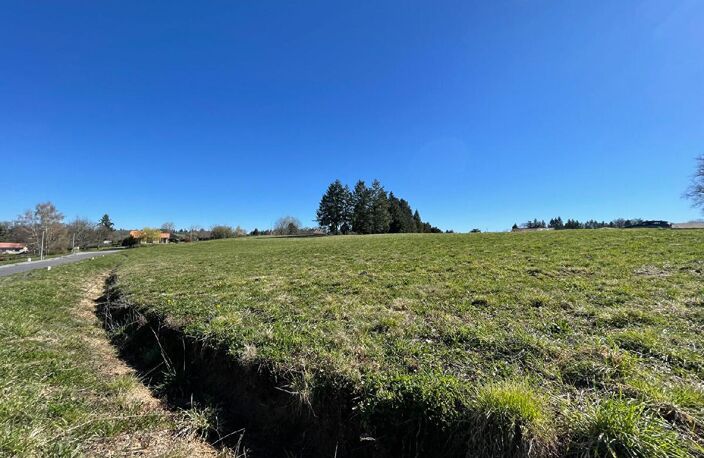 Terrain — photo 4