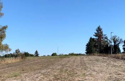 Terrain — photo du bien