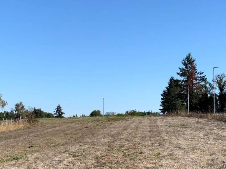 Terrain — photo 1