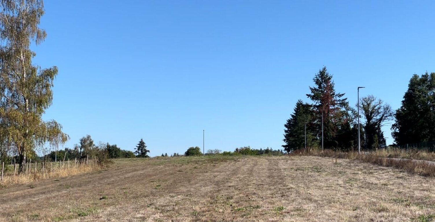 Terrain — photo 1