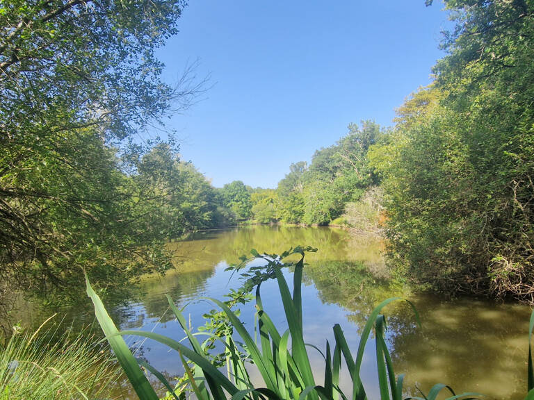 Etang avec guiguette d'environ 80m2, sur 1 hectare 300 — photo 1