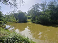 Etang avec guiguette d'environ 80m2, sur 1 hectare 300 — photo 3
