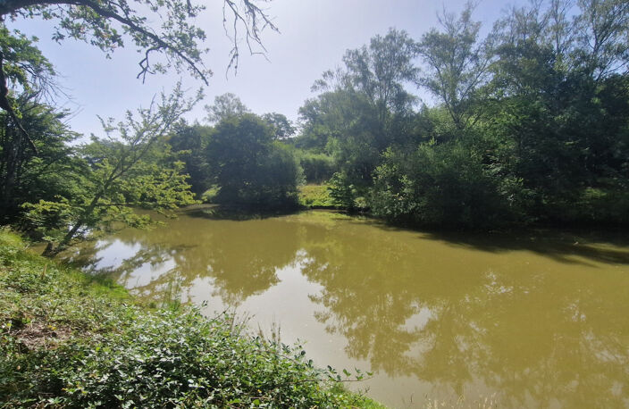 Etang avec guiguette d'environ 80m2, sur 1 hectare 300 — photo 3