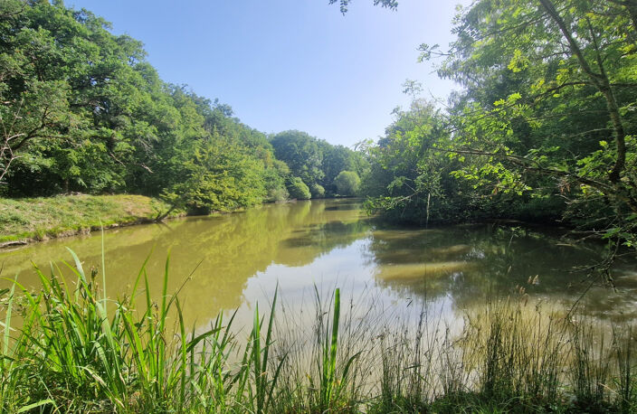 Etang avec guiguette d'environ 80m2, sur 1 hectare 300 — photo 4