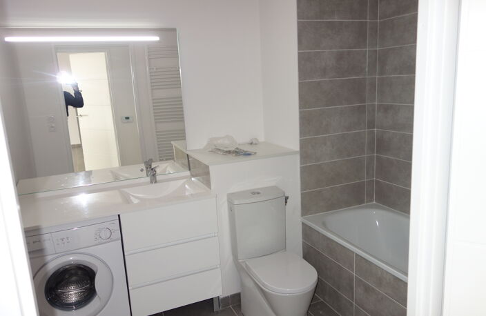 Location appartement 2 pièces 43 m² à Toulouse (31200) — photo 3