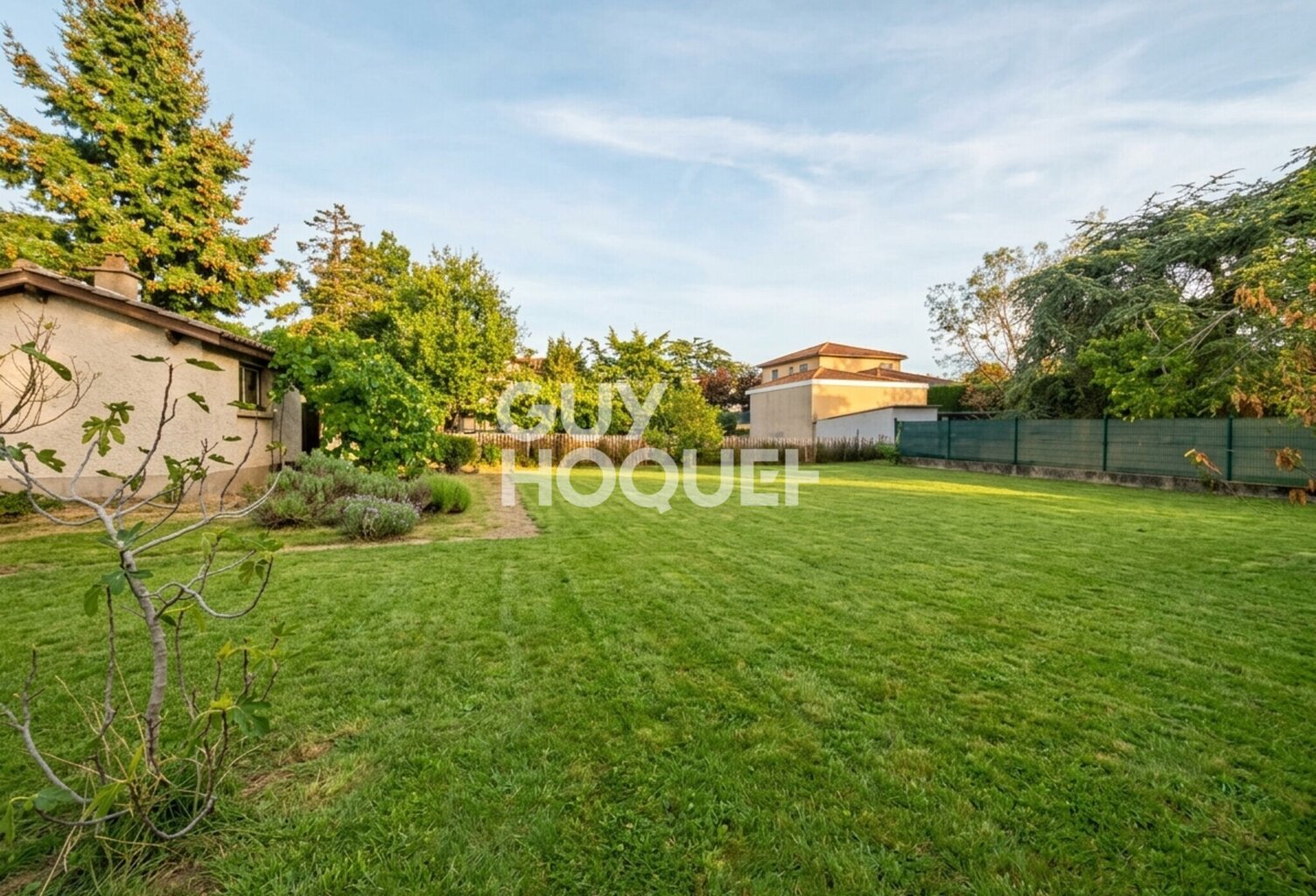 terrain — photo 1