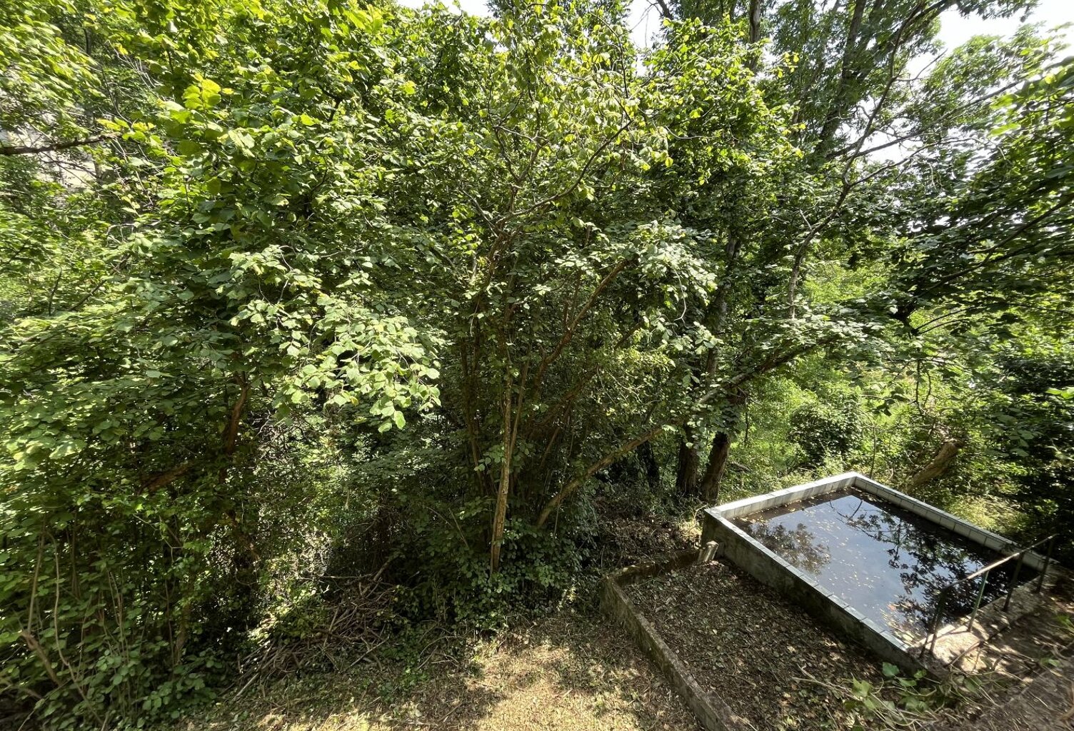 Maison AVEC JARDIN — photo 1