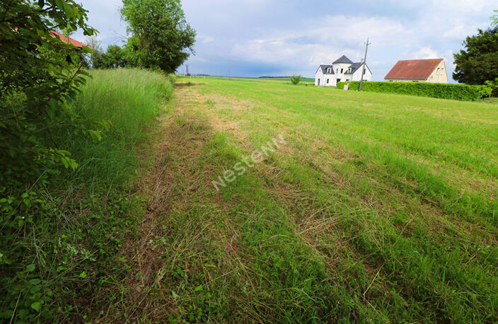 10 min de Guignicourt - 5 min St Erme : TERRAINS A BATIR — photo 4