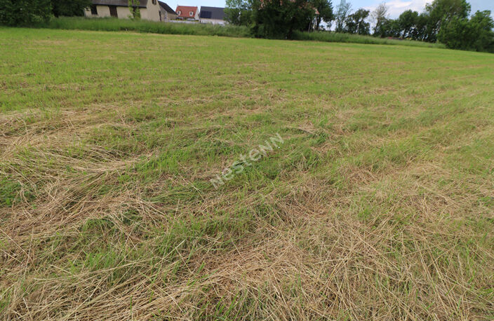 10 min de Guignicourt - 5 min St Erme : TERRAINS A BATIR — photo 5