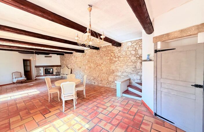 Cheval-Blanc  Mas en pierre, cour sous un platane centenaire et charme de l'ancien — photo 3