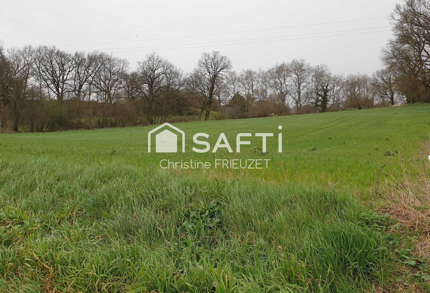 Terrain spacieux et constructible — photo 1