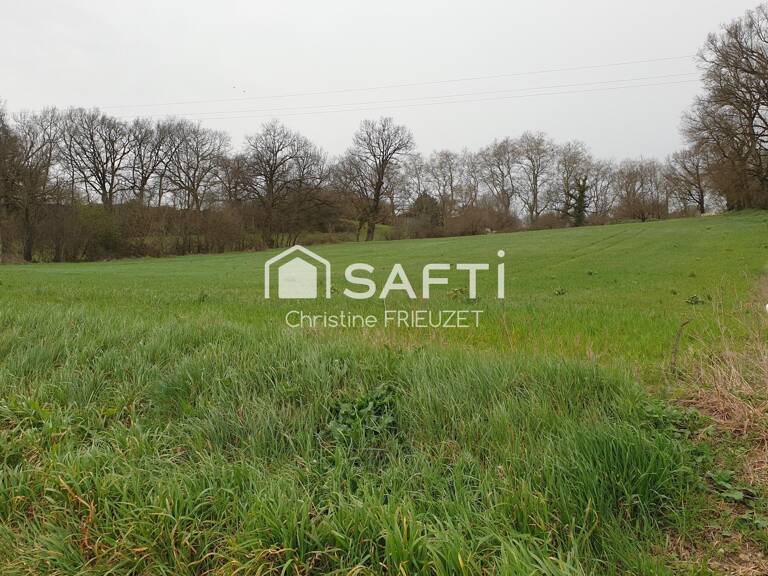 Terrain spacieux et constructible — photo 1