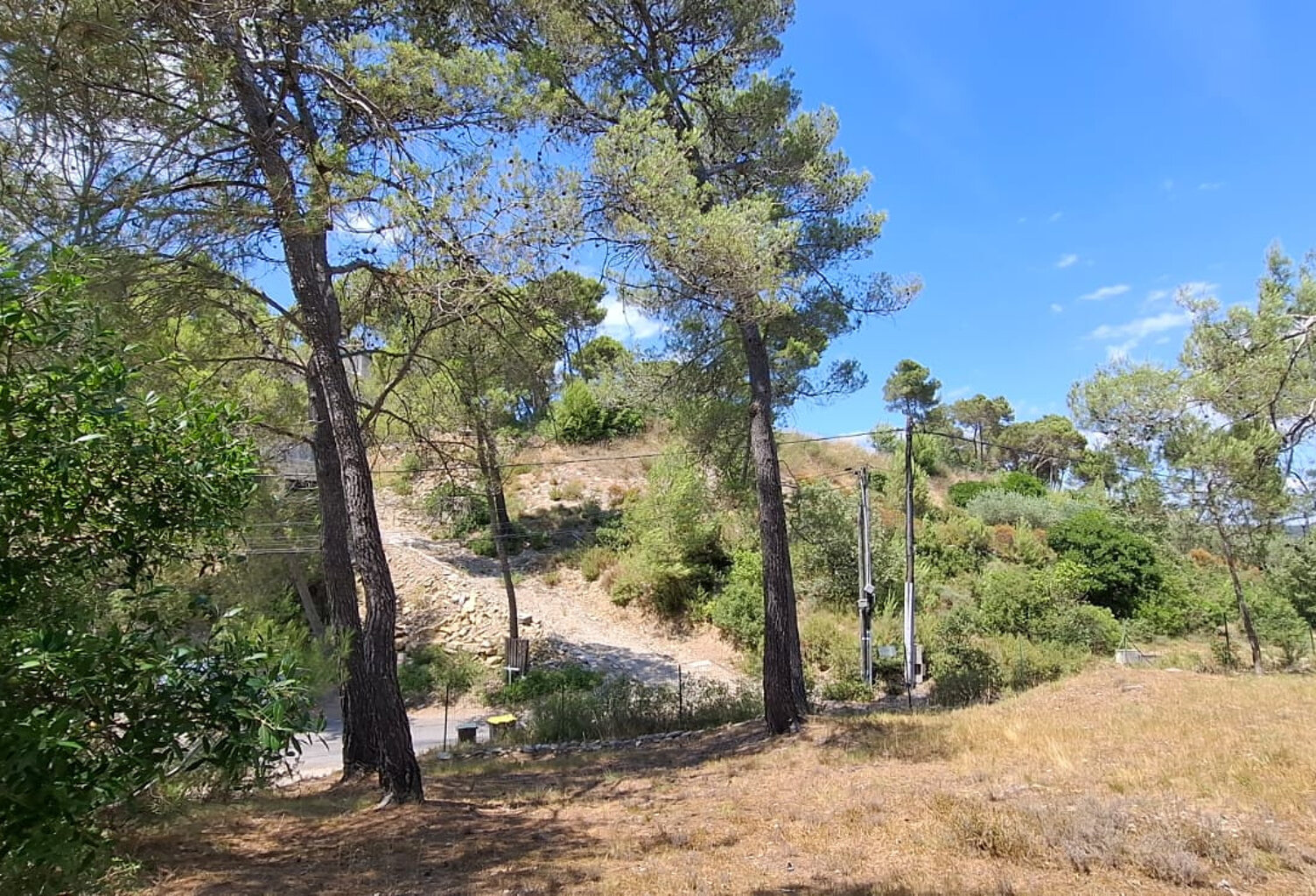 Saint Bauzille de Montmel - Terrain à bâtir — photo 1