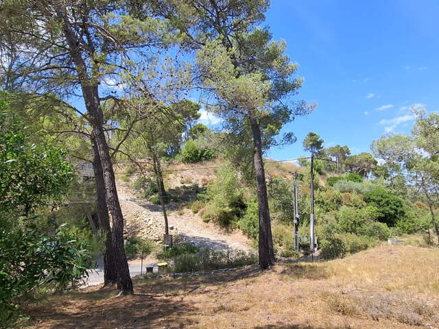 Saint Bauzille de Montmel - Terrain à bâtir — photo du bien